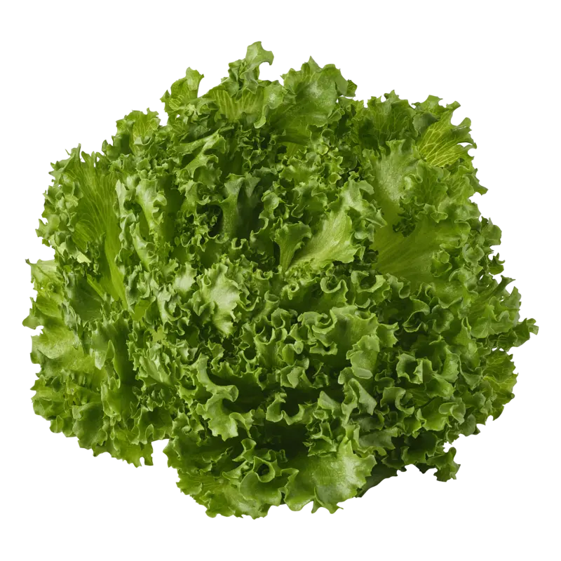 AH Crispy green sla
