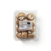 biologische champignons kastanje