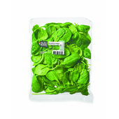 bio baby spinazie biologisch