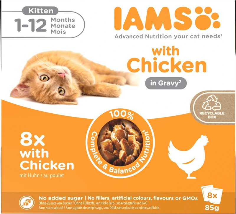 IAMS Delights kitten with chicken in sauce