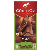 Côte d'Or chocolade bonbonbloc praline noisette