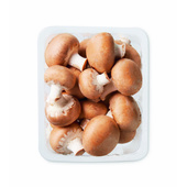champignons kastanje