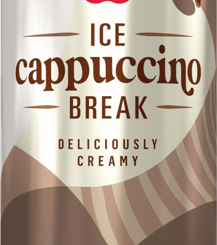 Douwe Egberts Ijskoffie cappuccino