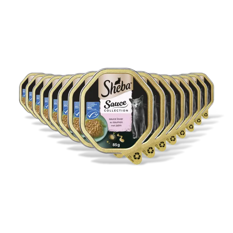 Sheba Saucelovers in saus zalm 15-pack