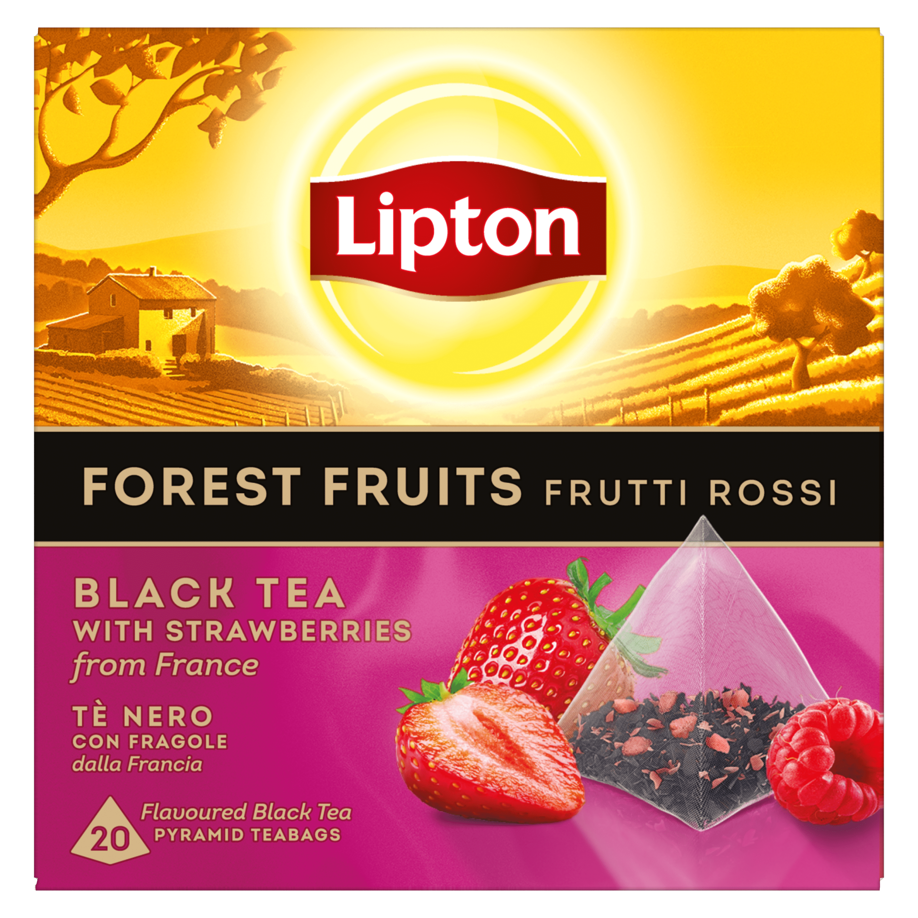 Lipton Zwarte thee Forest Fruit