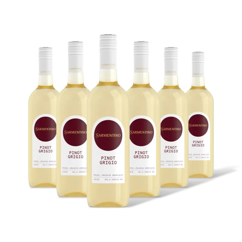 Sarmentino Pinot grigio 6 flessen