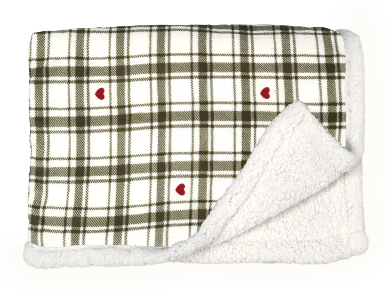 AH Excellent Plaid groene ruit met hartjes