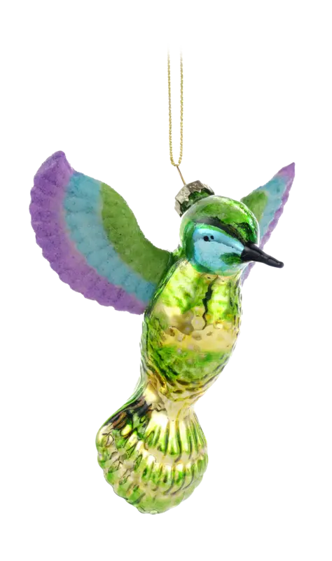 AH Excellent Glashanger kolibri