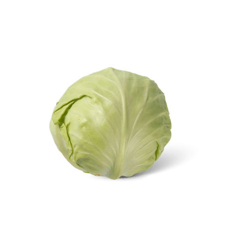 Witte kool
