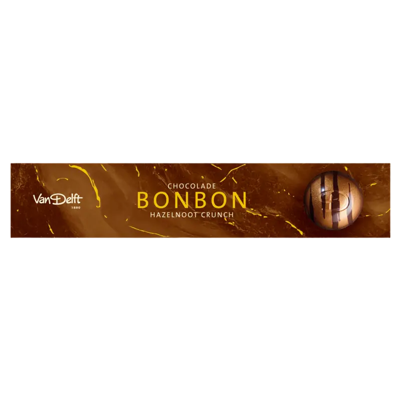 Van Delft Chocolade bonbon hazelnoot crunch