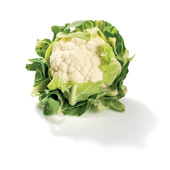 Bloemkool