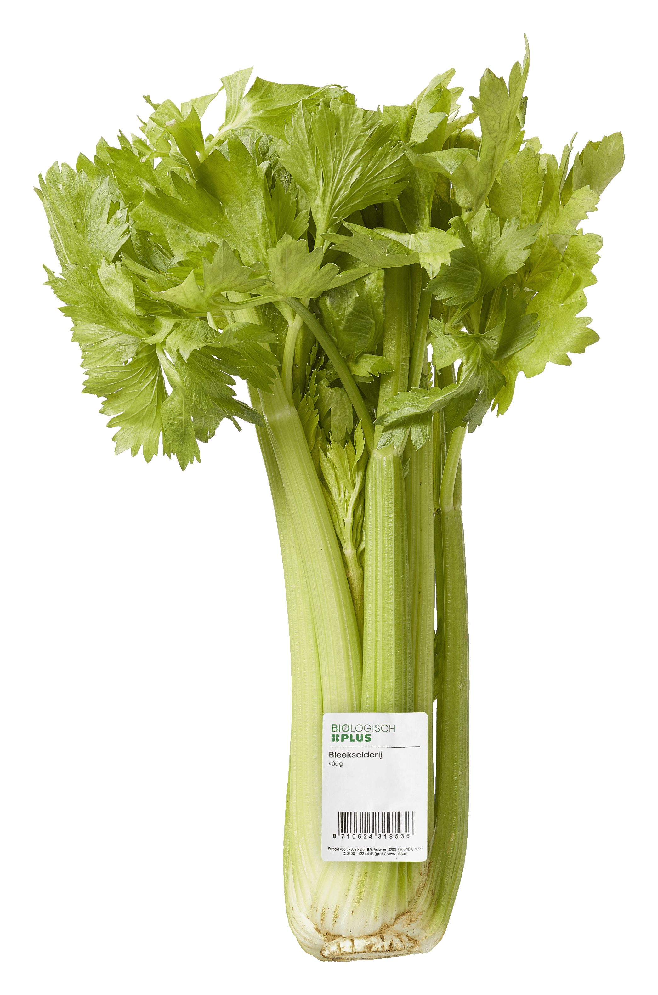 Biologisch PLUS Bleekselderij