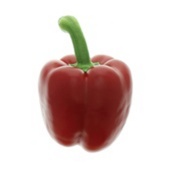 paprika rood Bio+