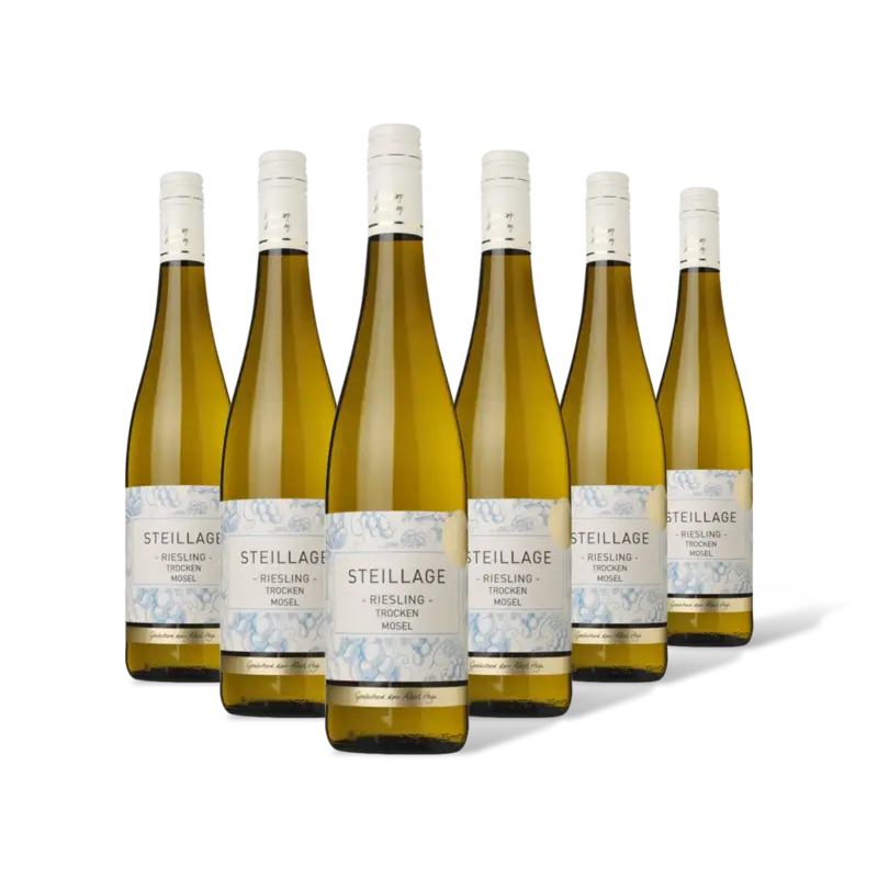 AH Excellent Selectie riesling 6 flessen