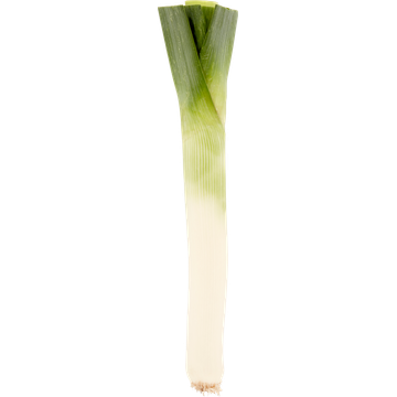 Jumbo Prei
