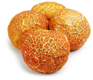 Tijgerbol