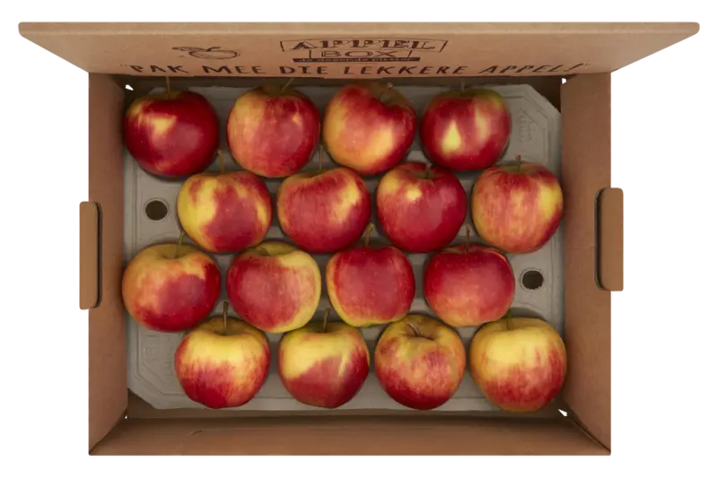 AH Fruitbox appels