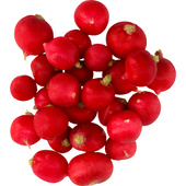 radijs