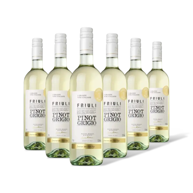 AH Excellent Selectie pinot grigio 6 flessen
