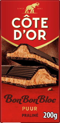 Côte d'Or Bonbonbloc praline puur