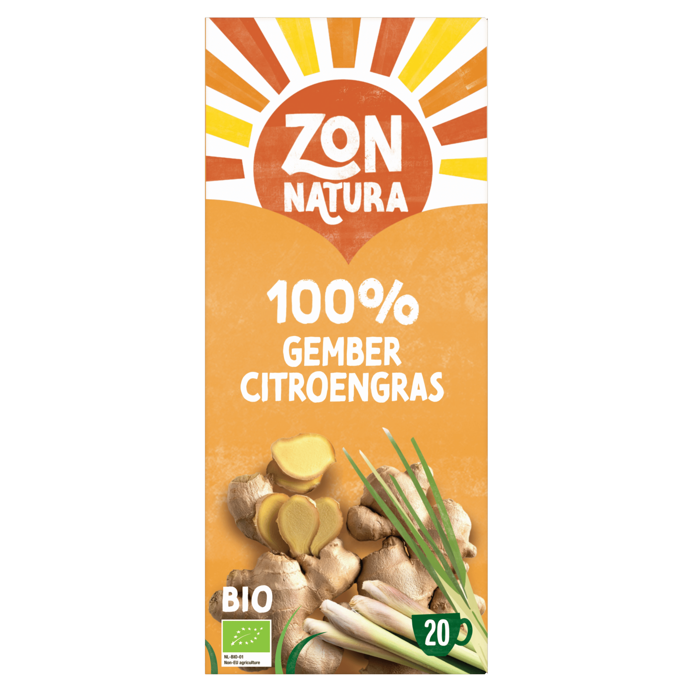 Zonnatura Thee gember 100% bio