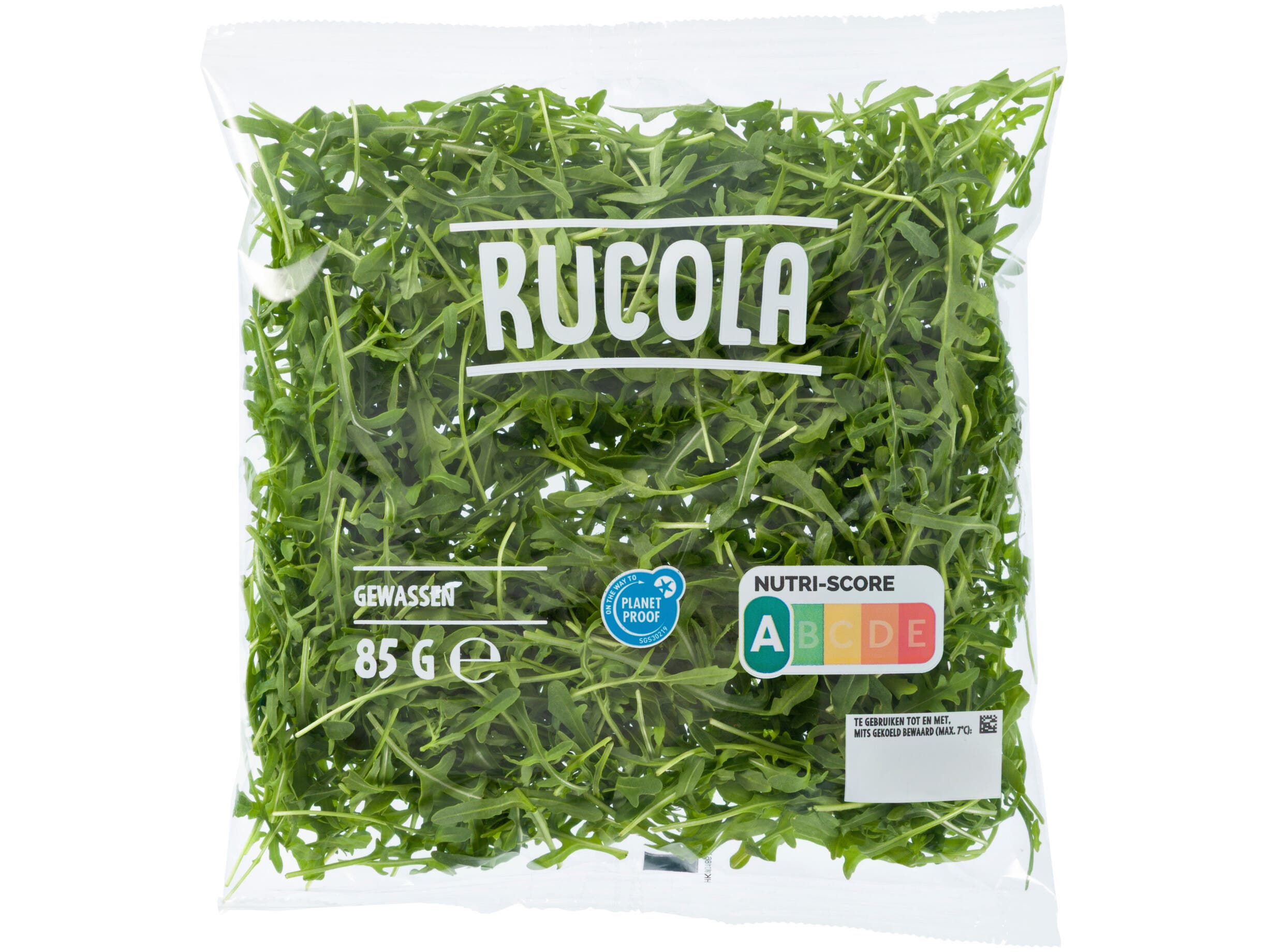 Rucola