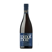 Kvadrat rode wijn pinot noir