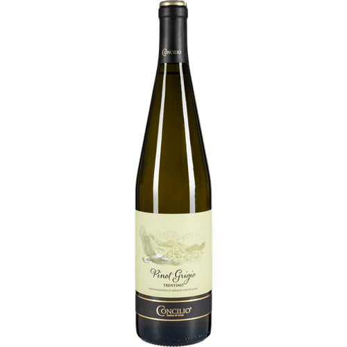 Concilio Pinot grigio trentino
