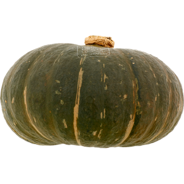 Jumbo Groene Pompoen Biologisch