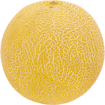Jumbo Galia Meloen