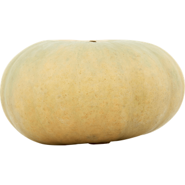 Jumbo Bio Grijze Pompoen