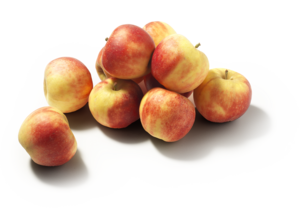 Elstar Appels Los