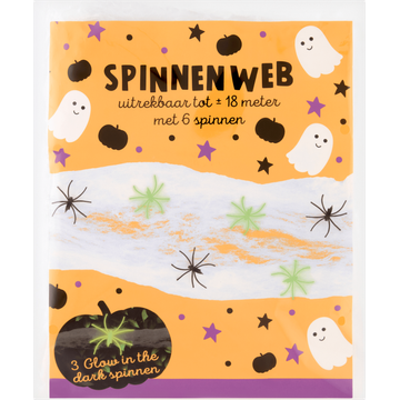 Spinnenweb met 6 Spinnen