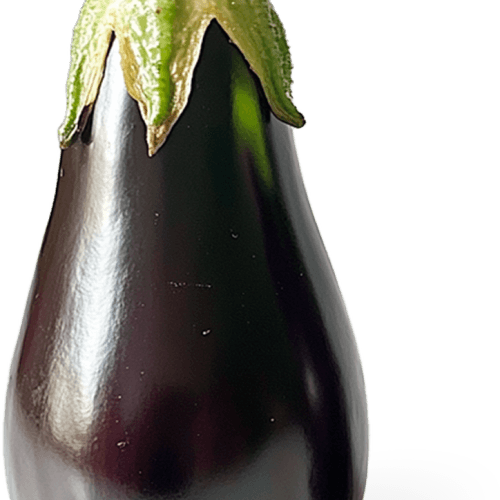 Aubergine