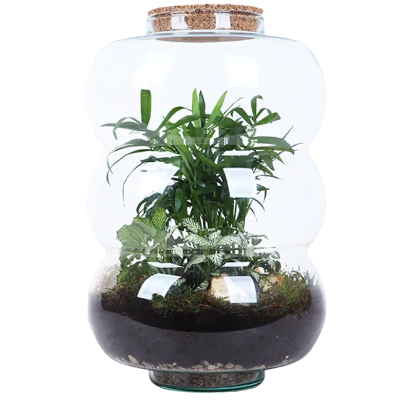AH Terrarium ring rondingen L