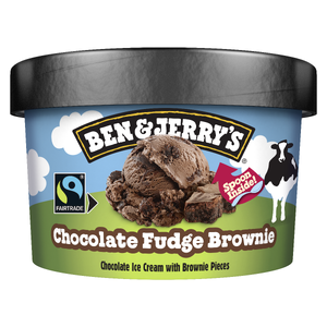 Ben En Jerrys Fudge Brownie