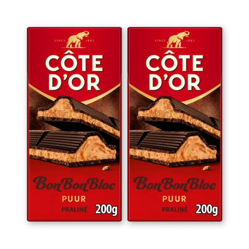 Côte d'Or BonBonBloc praliné puur 2-pack
