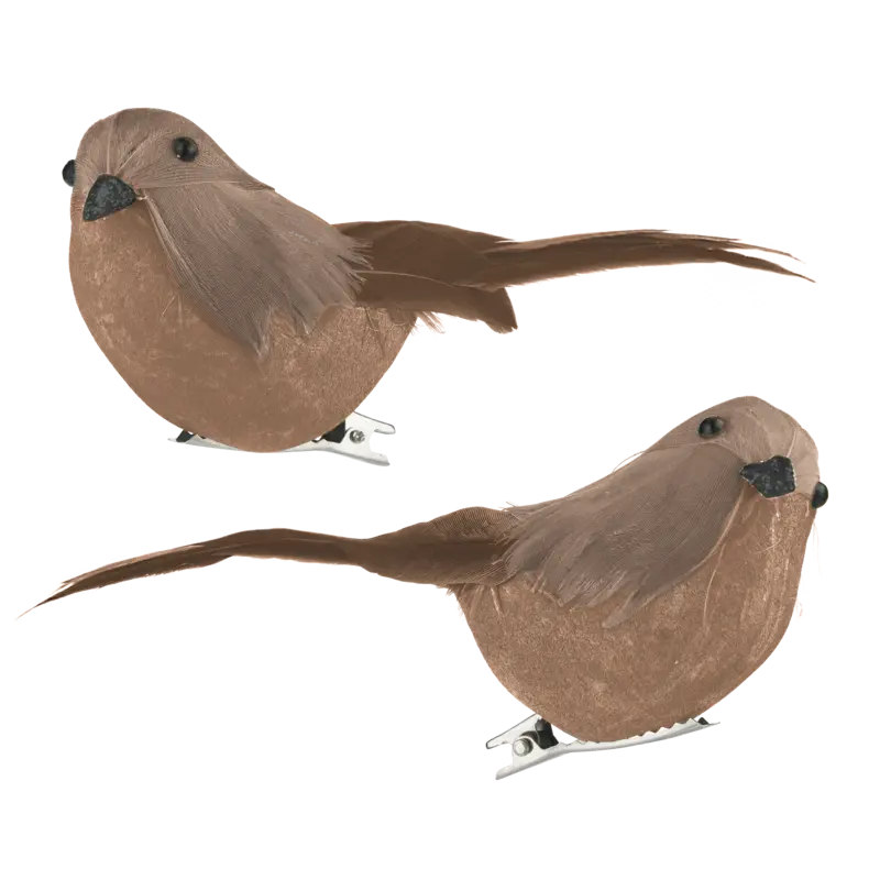 AH Excellent Vogeltjes op clip bruin