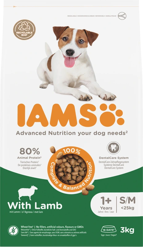 IAMS Advanced nutrition dog with lamb 1+