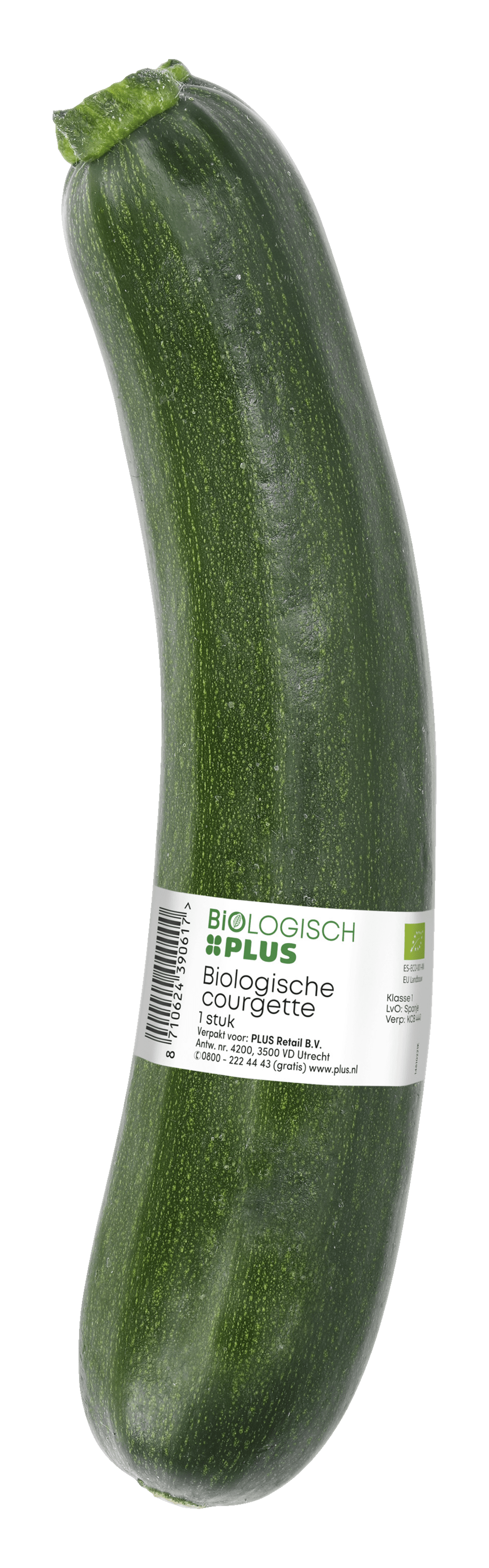 Biologisch PLUS Courgette groen