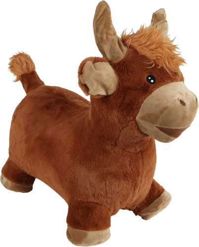 Skippy hopper met pomp 60cm