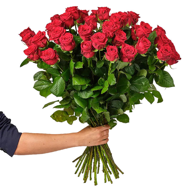 AH Rode rozen 35 stuks