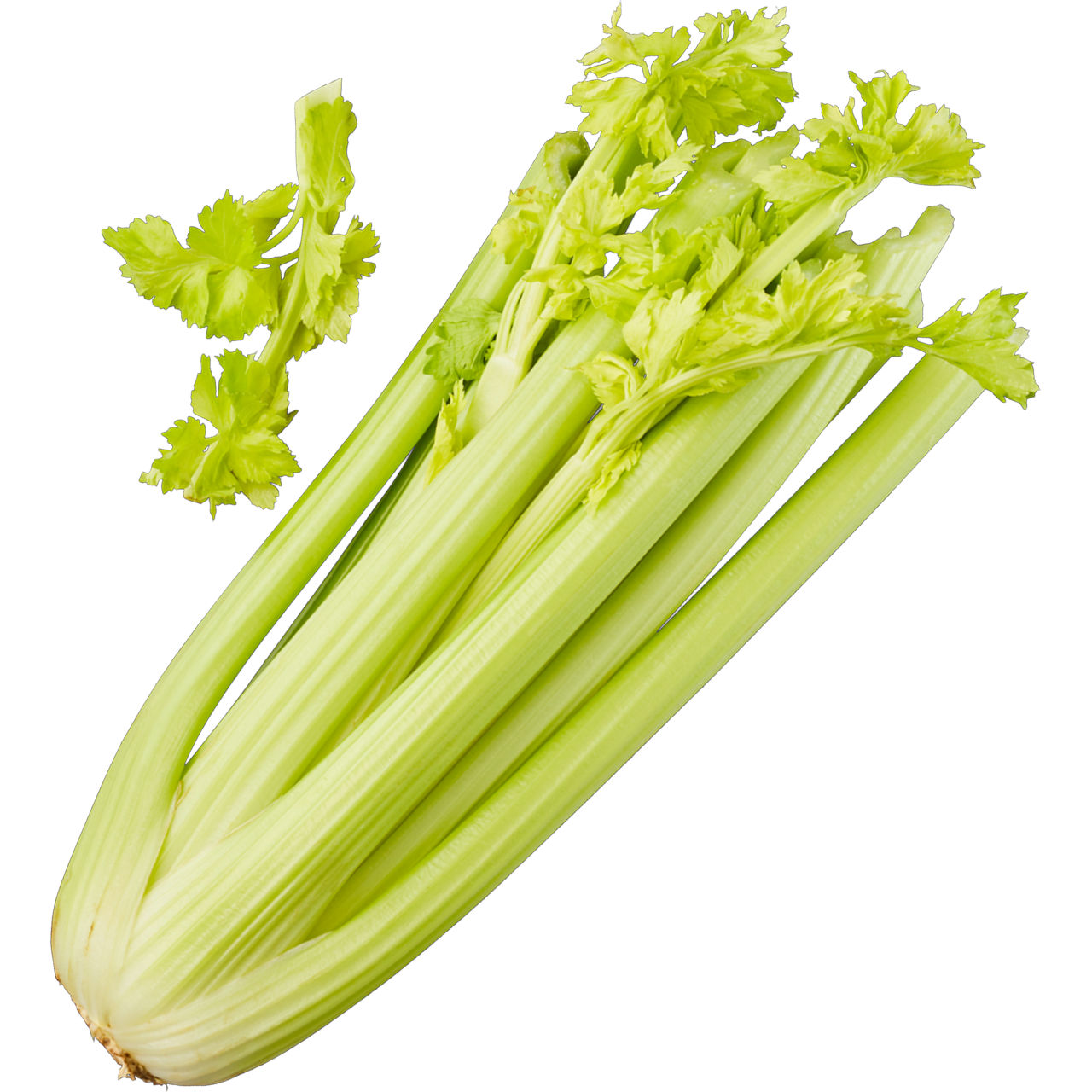 Bleekselderij