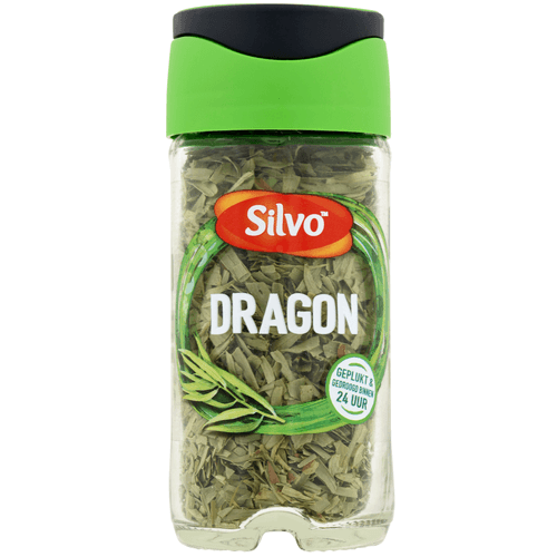Silvo Dragon