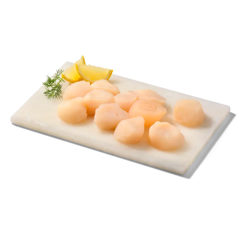 AH Excellent Coquilles