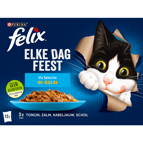 Felix Kattenvoer elke dag feest vis selectie in gelei