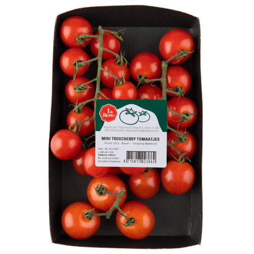 1 de Beste Mini cherry trostomaten