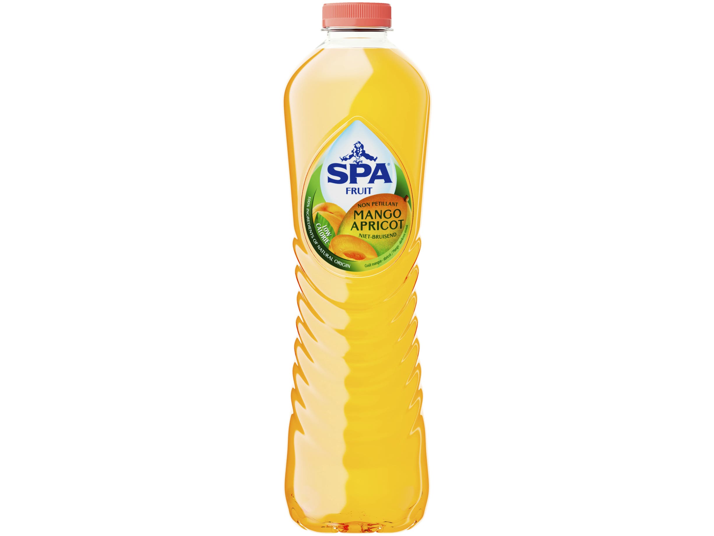 FRUIT Koolzuurvrij Mango Apricot