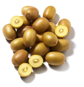 Zespri Kiwi's Gold Los