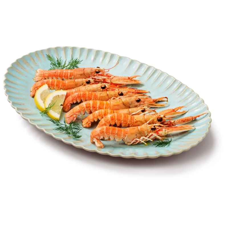 AH Visspecialist Langoustines